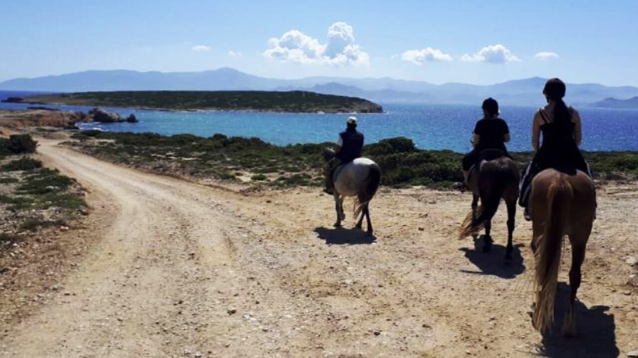 Horseback Riding in Paros -  Paros, Greece