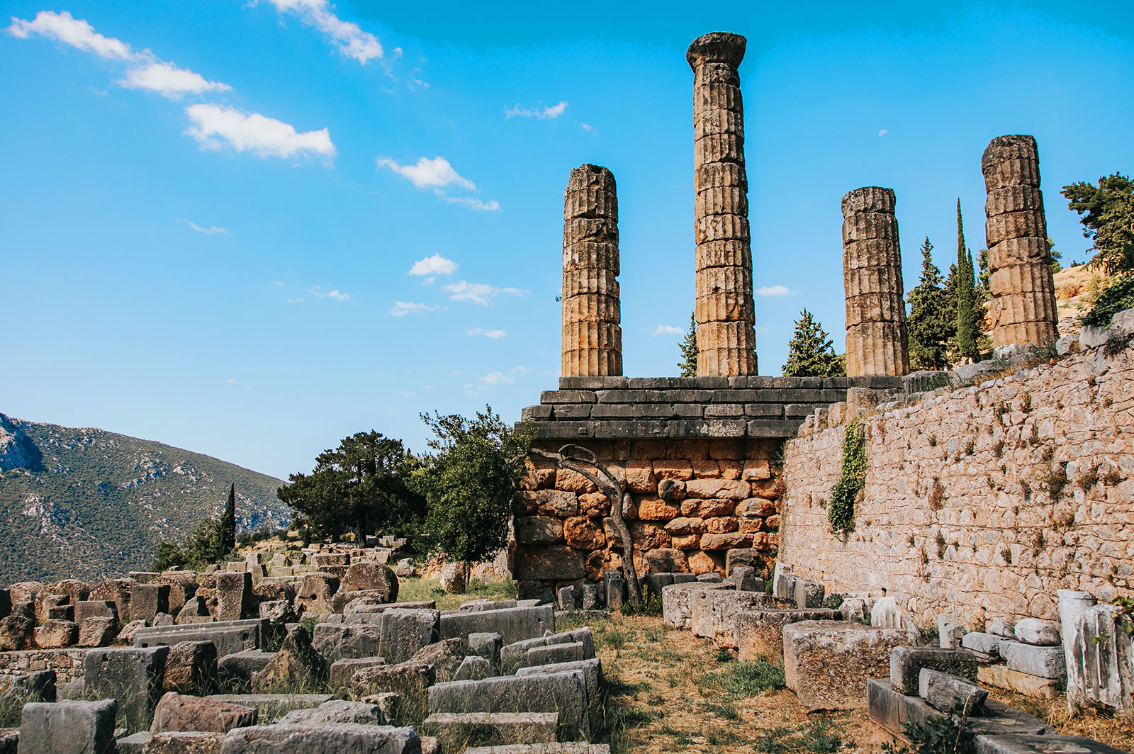 Itea (Delphi)