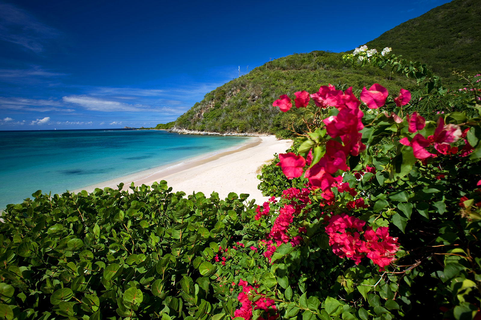 Cruz Bay, St. John