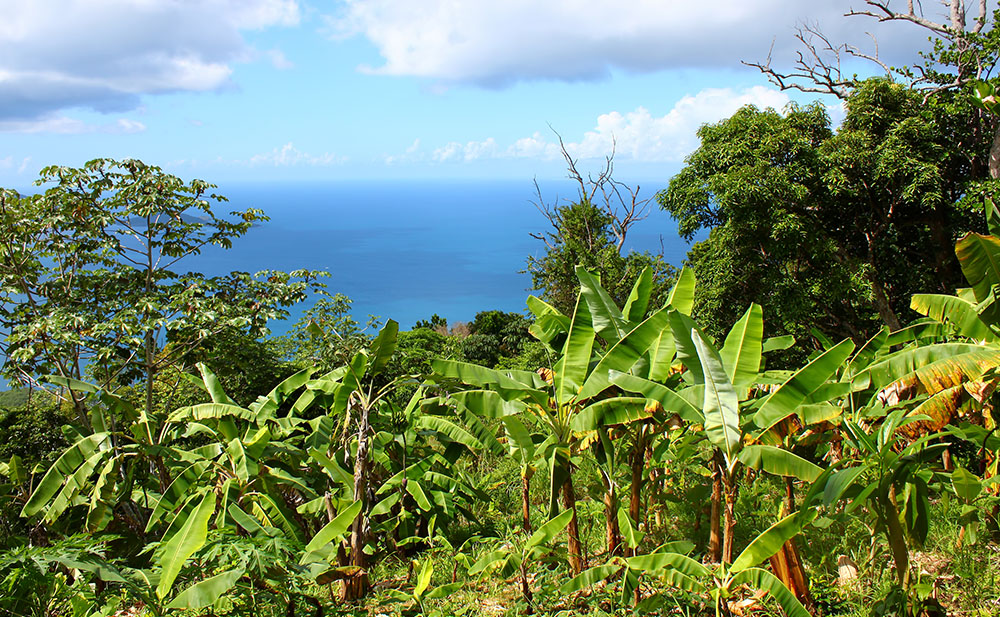 Tortola, B. V. I.