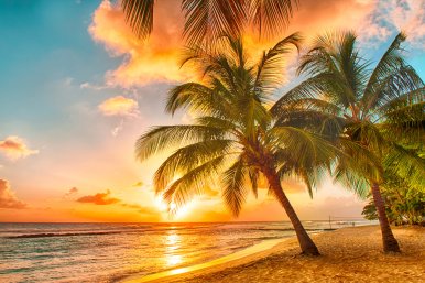 The Glorious Grenadines