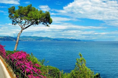 7-Day  Luxury Voyage from Nice to Nice: French Riviera Delight