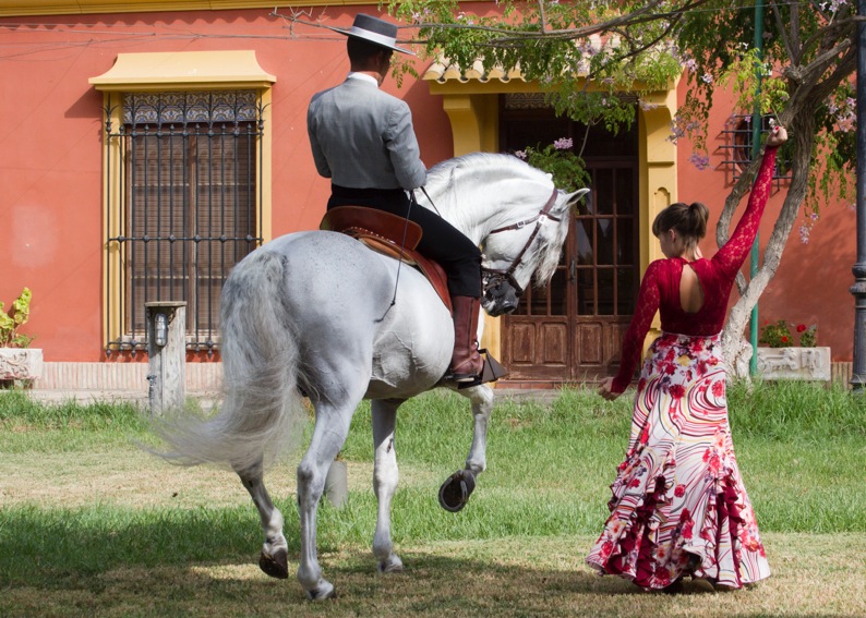 Cartagena: Spain’s Famous Horses - SeaDream Yachting Land Adventure