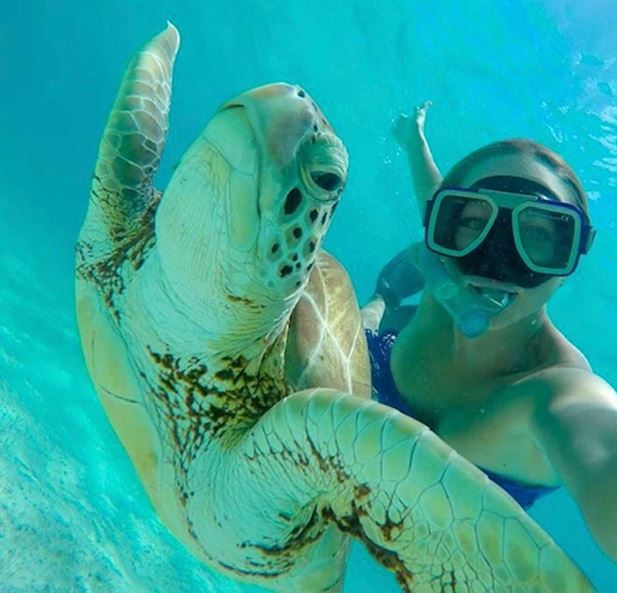 Mayreau - Tobago Turtle Swim & Sail