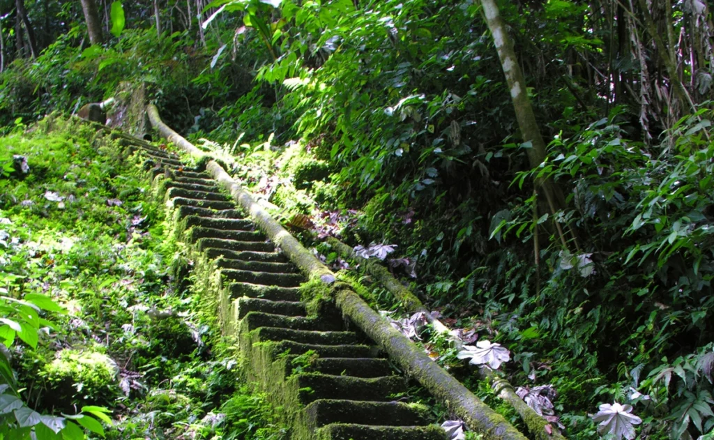 Source Trail & Rainforest Hike - Charlestown, Nevis - Yachting Land Adventure