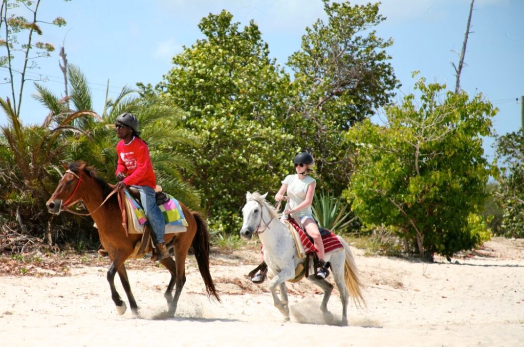 Antigua Horseback Ride & Swim